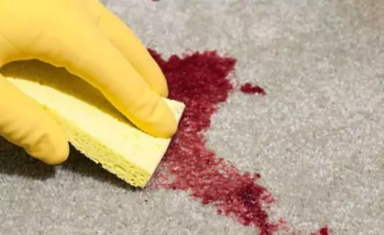 Choose the professional among the professional at Carpet Cleaning
