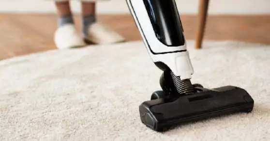 Choose the professional among the professional at Carpet Cleaning